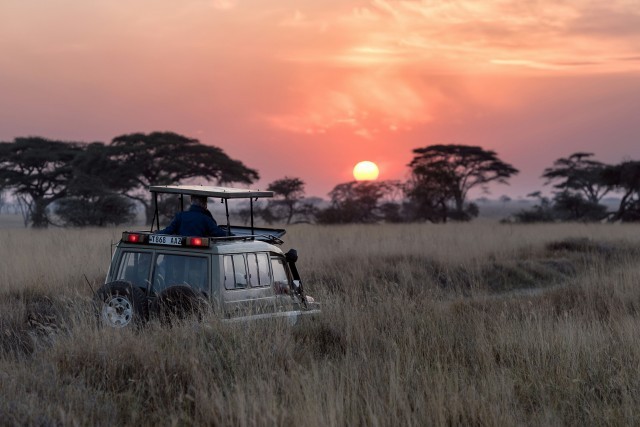 Tanzanie