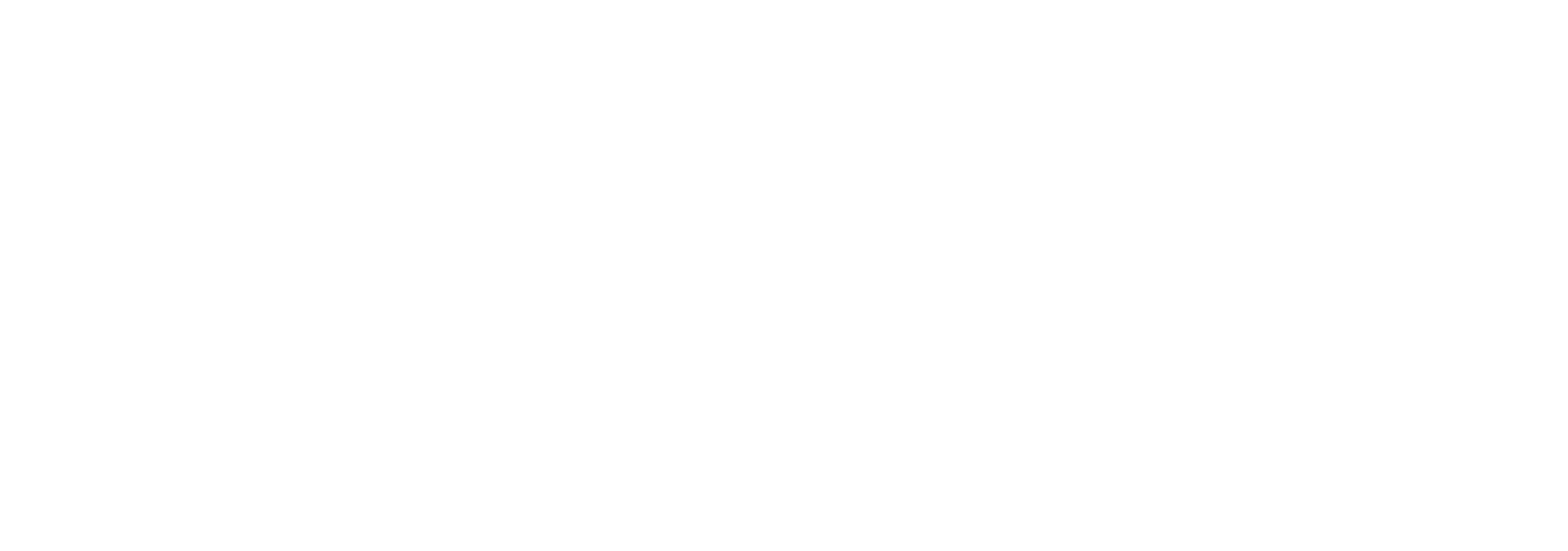 Travel Blog